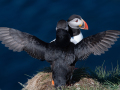 isl-atie12-104-Nikon-D5-