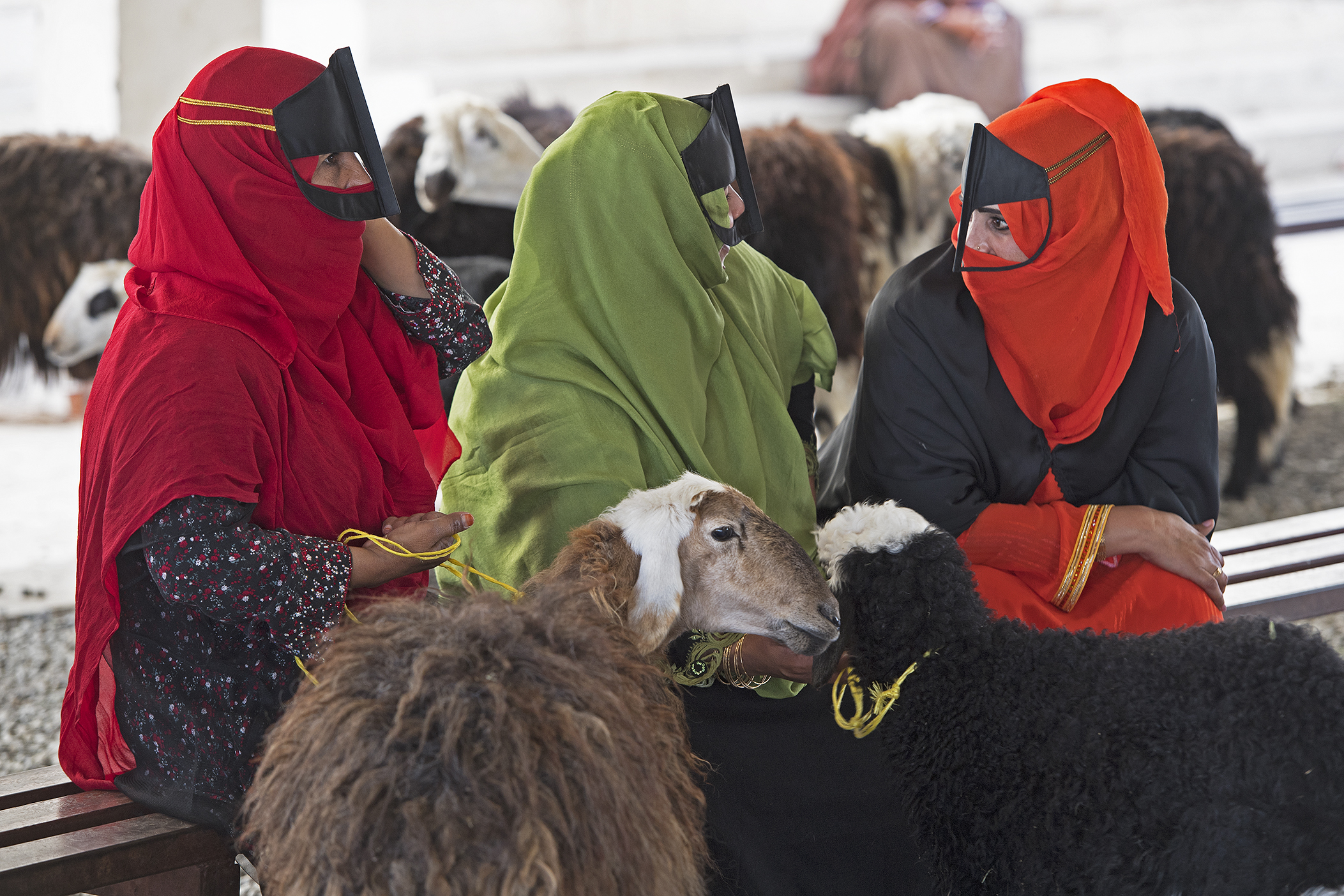 Viehmarkt in Sinaw, Oman